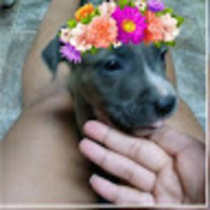 Meet your Posher, Edward